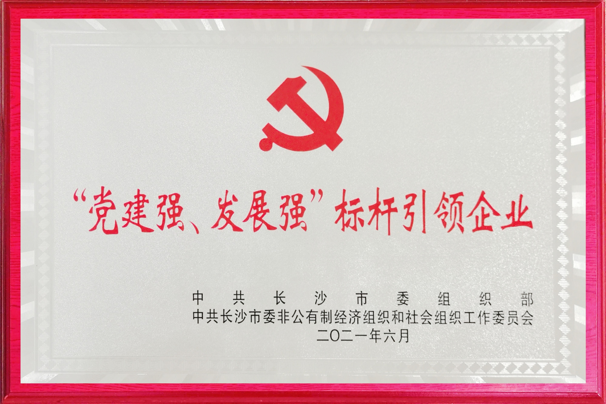 九芝堂榮獲長沙市兩新領(lǐng)域“黨建強(qiáng)、發(fā)展強(qiáng)”標(biāo)桿引領(lǐng)企業(yè)
